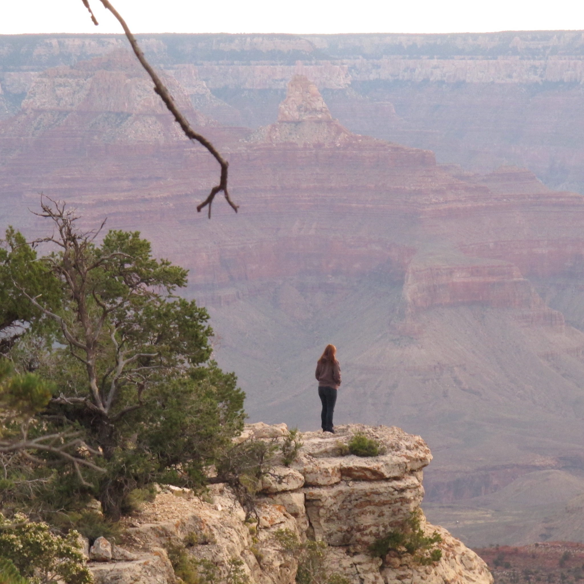 Person overlooking the Grand Canyon from a scenic viewpoint in Grand Canyon National Park.